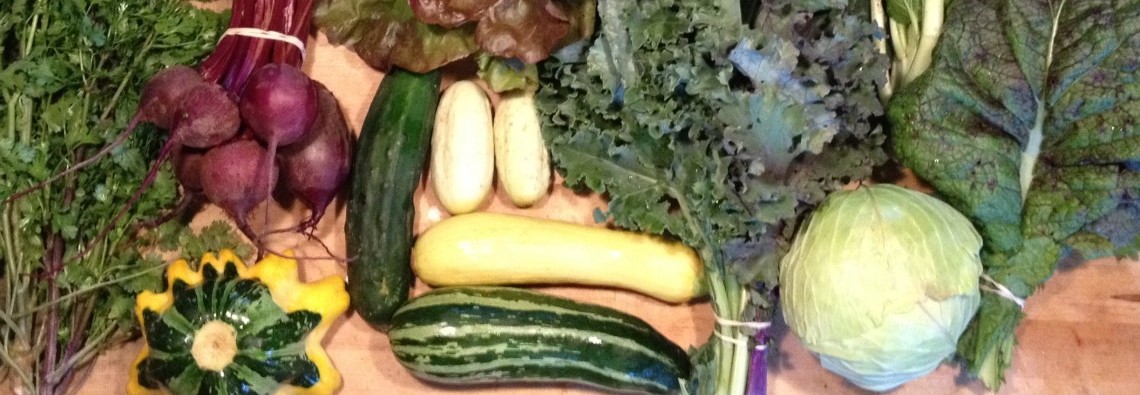 CSA produce