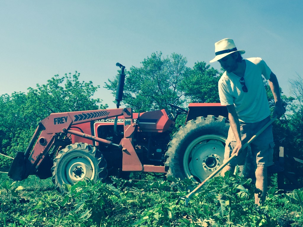 taylor tractor