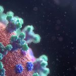 fusion-medical-animation-EAgGqOiDDMg-unsplash (5)