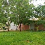 238carmenrosa_cotos04